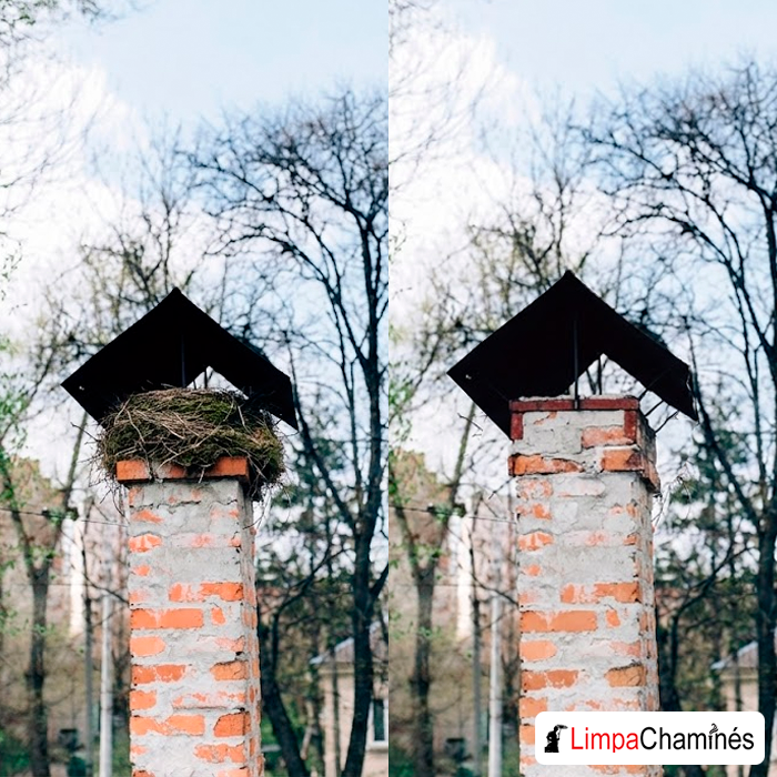 Colocação de redes anti pássaros