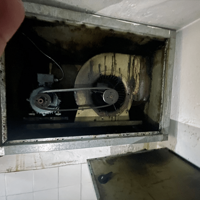 Limpeza de Motor de Hottes 4